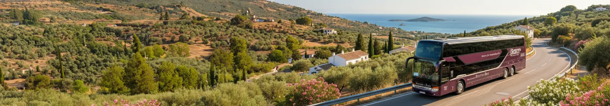 5★ Superior-Bistro-Busse