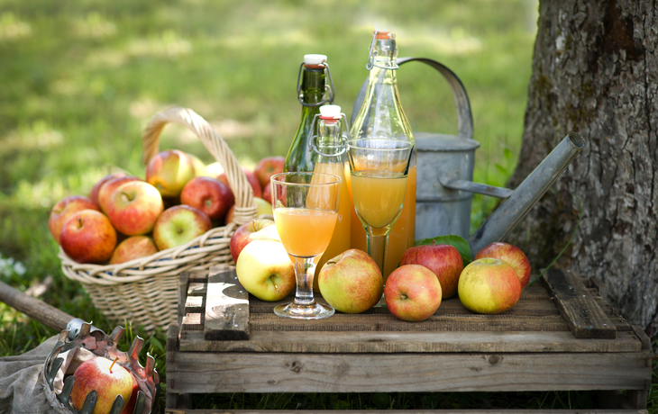 Erntezeit für Apfelsaft
