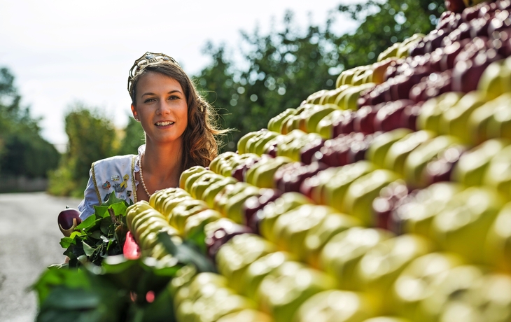 Südtirol zur Apfelblüte