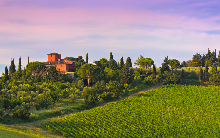 Weingut im Abenrot in der Toskana