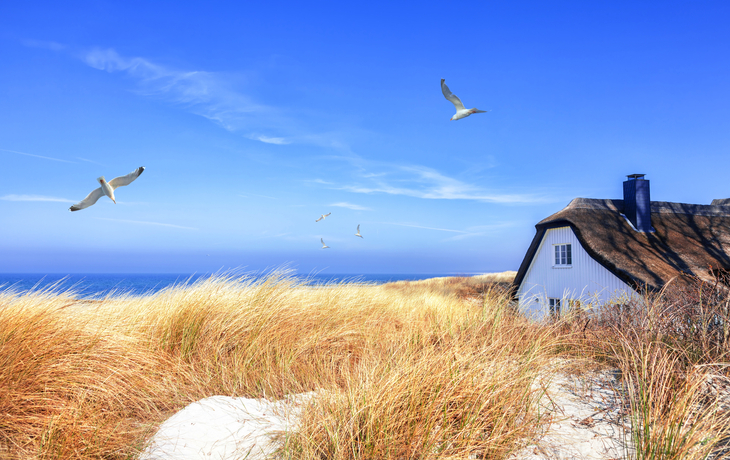 Ahrenshoop an der Ostsee, Deutschland