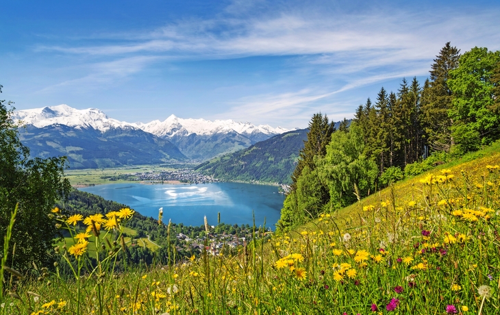 Blick über Zell am See, Österreich