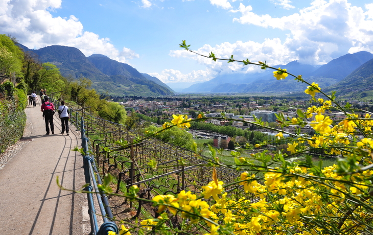 Tappeiner-Promenade bei Meran