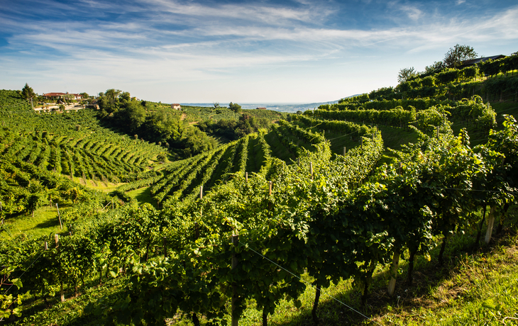 Prosecco Hills nahe Valdobbiadene in Venetien, Italien