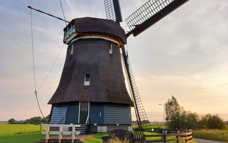 Windmühle in Voldendam