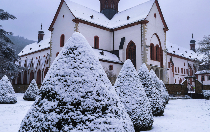 schneebedeckte Büsche und die Basilika des Klosters Eberbach