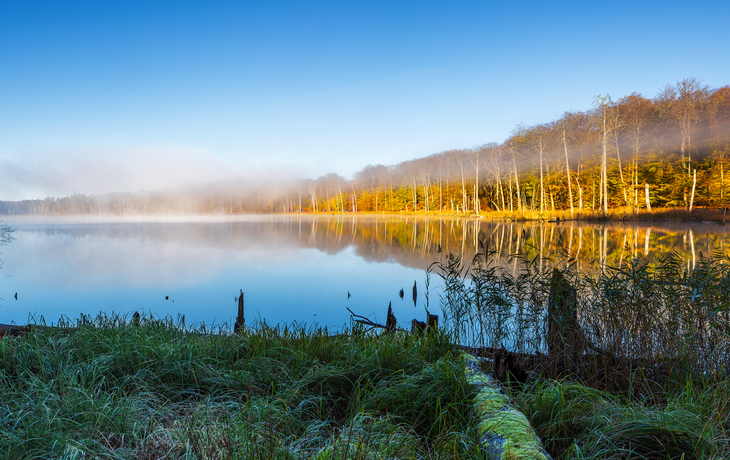Herbst im Müritz Nationalpark