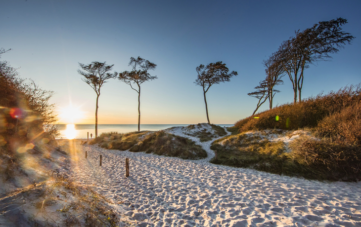 wilde Strände an der Ostsee