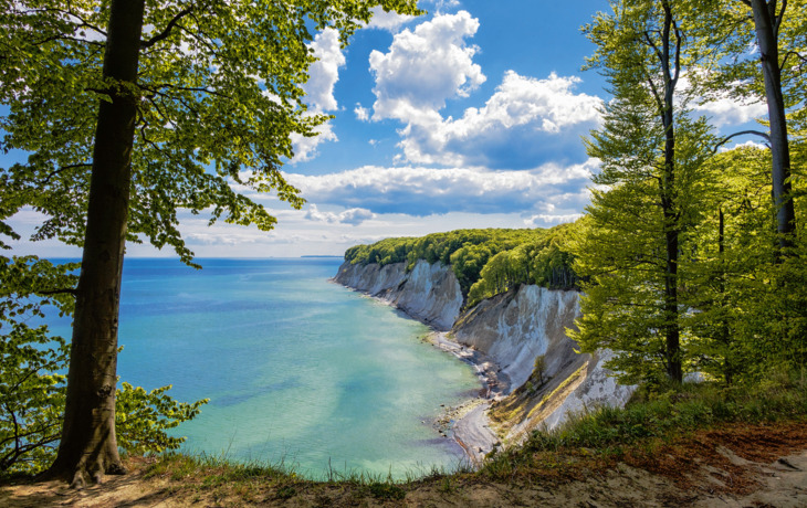 Kreidefelsen auf Rügen