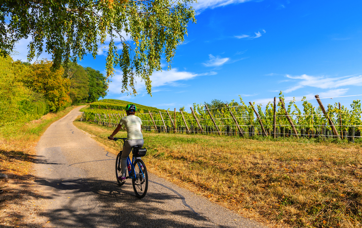 Radtour durch Riquewihr im Elsass, Frankreich