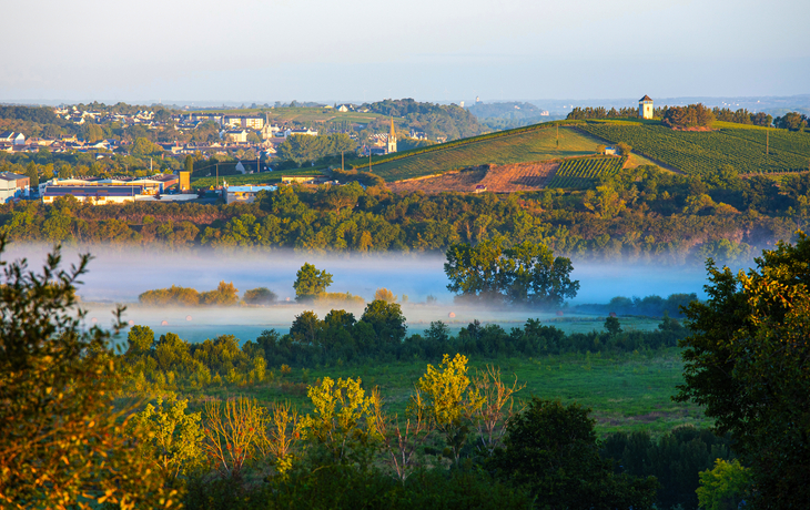 Hänge des Layon - Weinberge in der französischen Weinregion Anjou