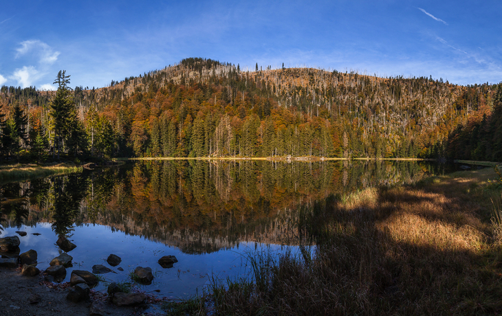 Bayrischer Wald Radreise