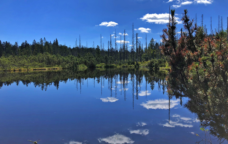 Bayrischer Wald Radreise
