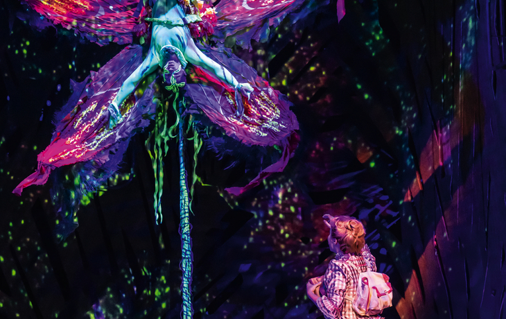 TARZAN -  das Musical