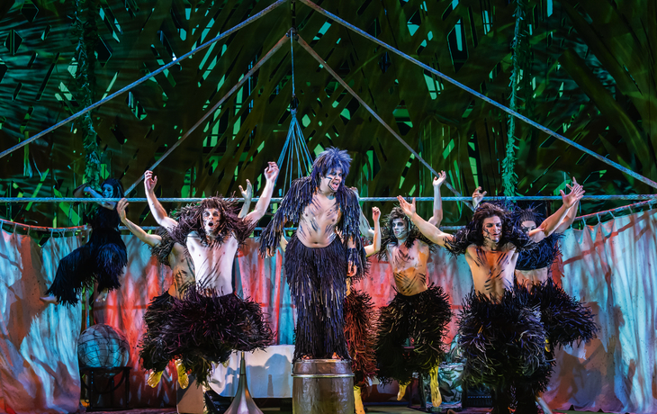 TARZAN -  das Musical