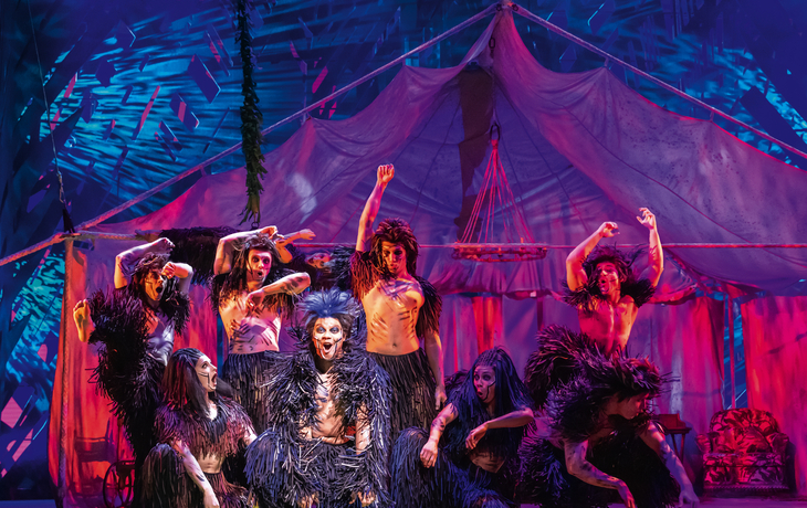 TARZAN -  das Musical