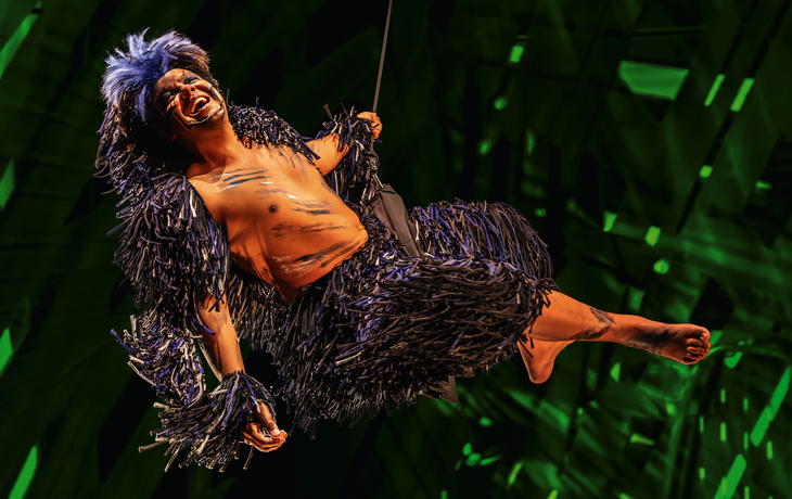 TARZAN -  das Musical
