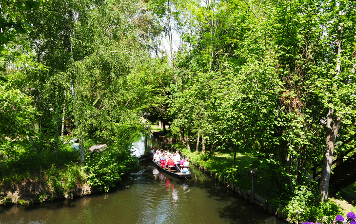 Spreewaldkahn im Spreewald