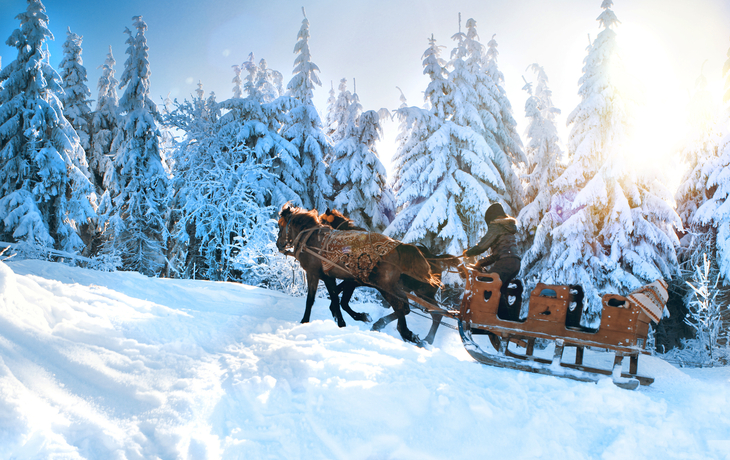 Fahrt mit dem Pferdeschlitten