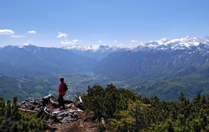 Blick von der Katrinalm auf den Hallstättersee und den Dachstein