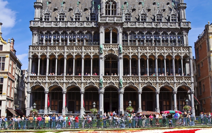 Blumenteppich in Brüssel