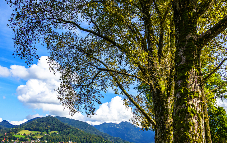 Parkbank an der Uferpromenade vom Tegernsee