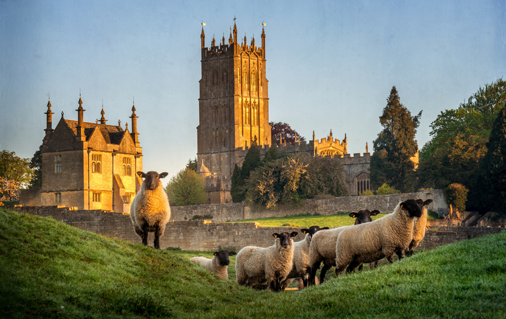 Cotswold-Schafe vor St James in Chipping Campden