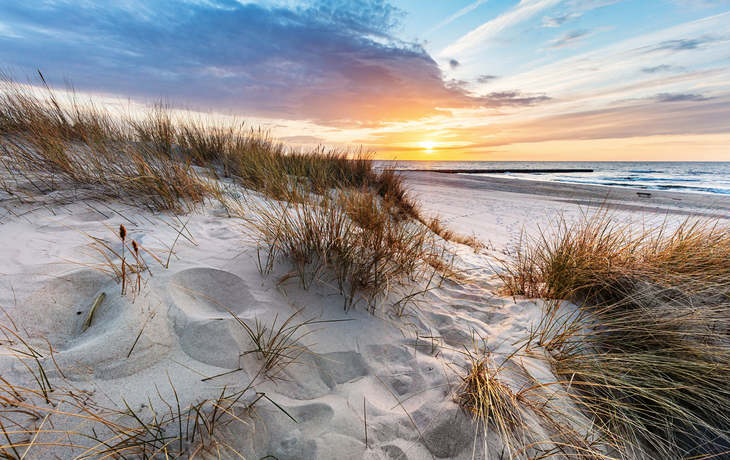 Dünengras bei Sonnenuntergang