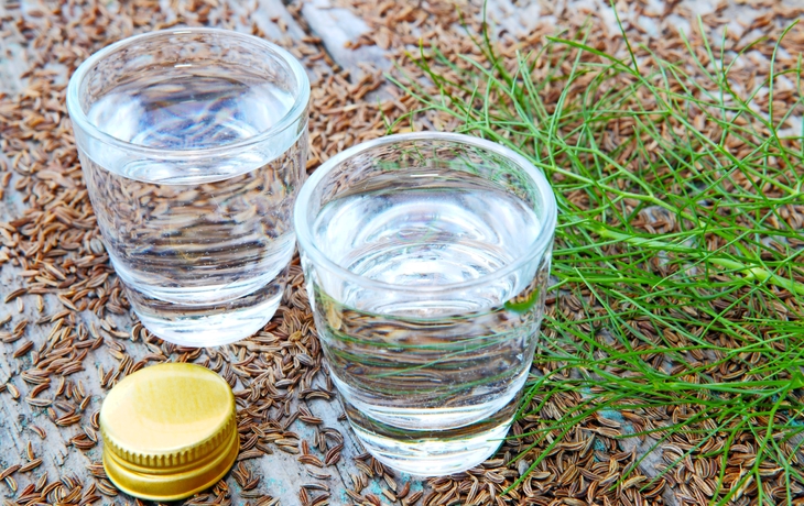 Kmmel und Kmmelschnaps