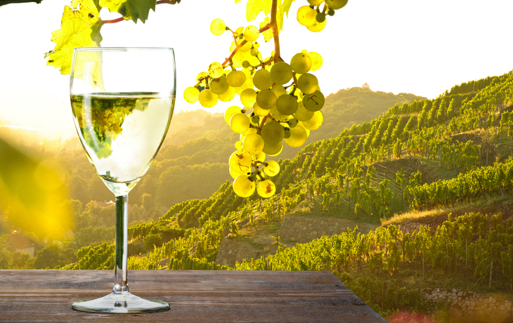 Weinglas bei Sonnenuntergang im Weinberg