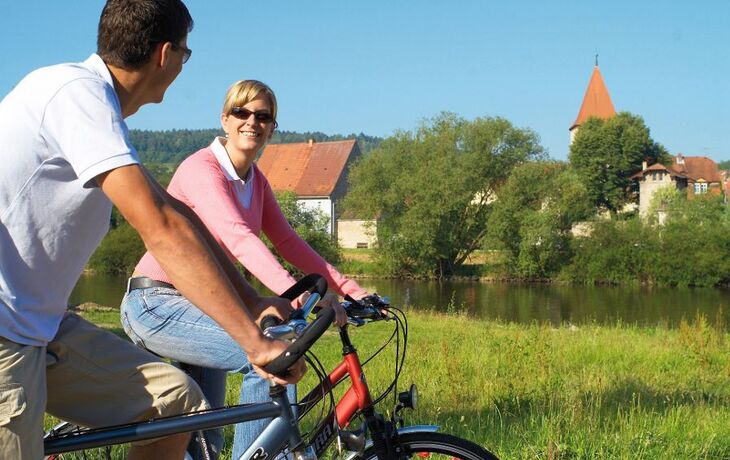 Main-Radweg bei Sommerhausen mit Blick auf Winterhausen