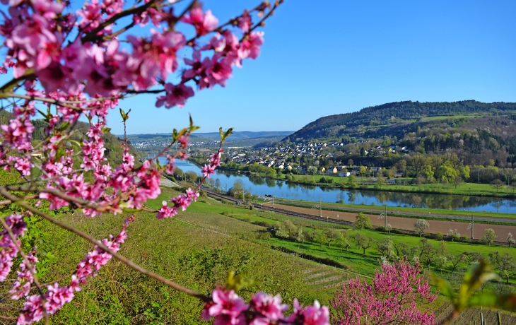 Wasserbilligerbrück an der Mosel