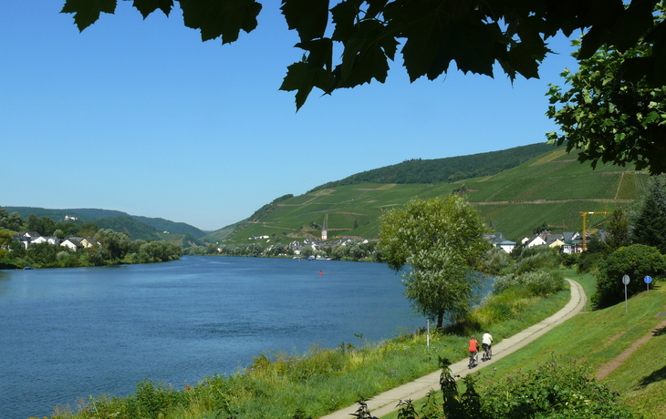 Radweg an der Mosel