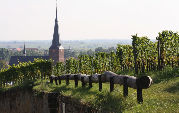 Deidesheim in der Pfalz, Deutschland