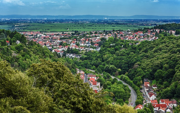 Blick über Bad Dürkheim