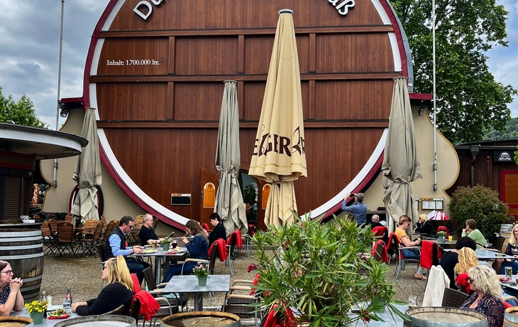 Radreise Deutsche Weinstraße