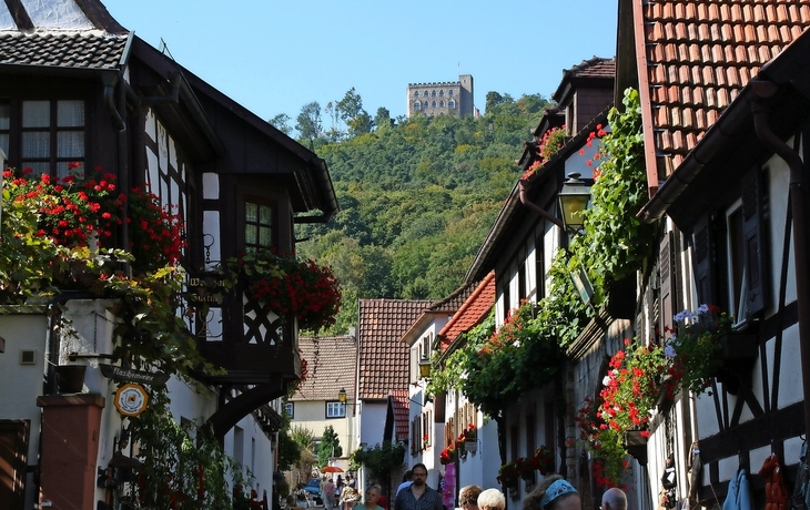 Neustadt an der Weinstraße mit Blick auf das Hambacher Schloss