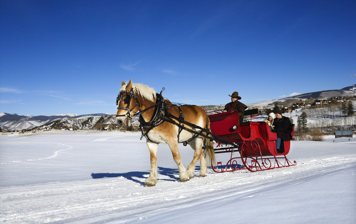 Pferdeschlittenfahrt