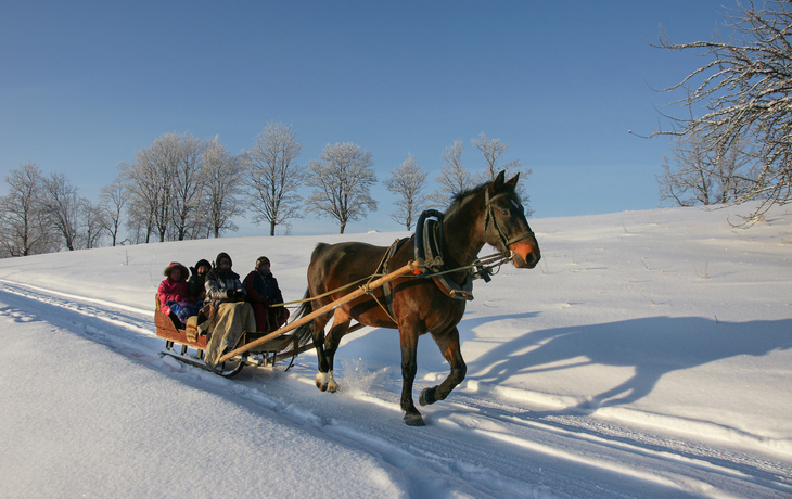 Fahrt mit dem Pferdeschlitten