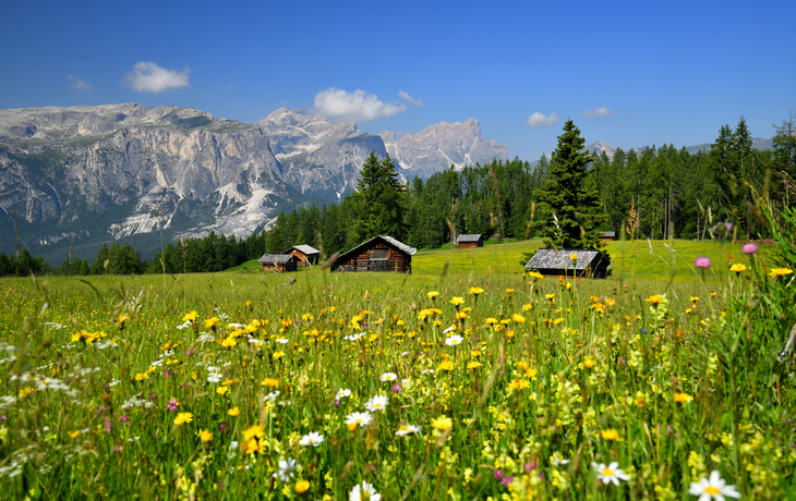 Frühling in den Südtiroler Dolomiten