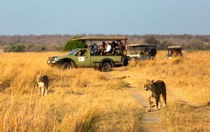 Serengeti Nationalpark