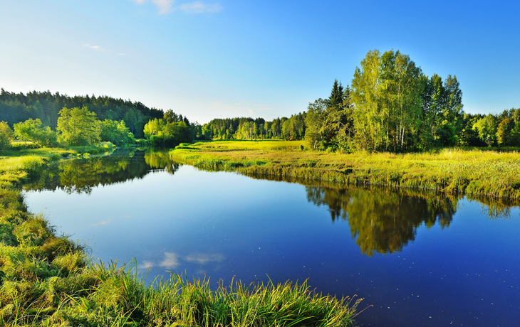 Brasla Fluss in Gauja Nationalpark, Lettland