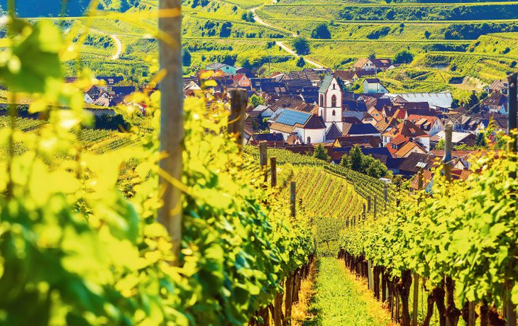 Eine landschaftlich reizvolle Berglandschaft mit Weinbergen und malerischen Stadt in Deutschland,Schwarzer Wald,Kaiserstuhl.
