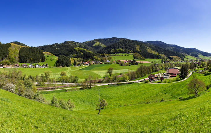 Gutachtal im Schwarzwald