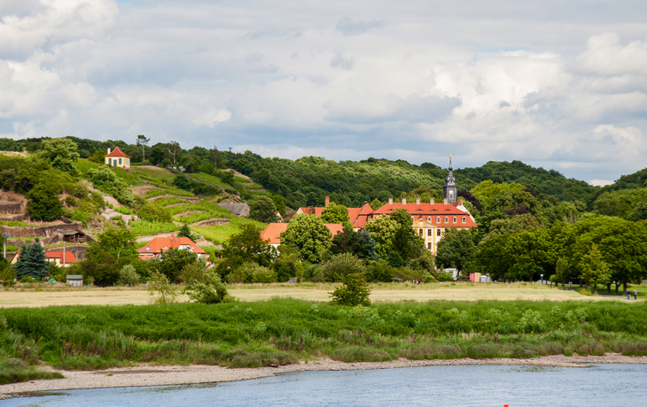 Schloss und Weinanbau in Diesbar-Seußlitz im Landkreis Meißen in Sachsen, Deutschland