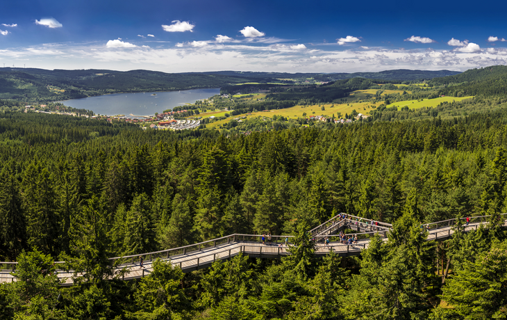 Baumwipfelpfad Lippen am Stausee Lipno im Südwesten der Tschechischen Republik