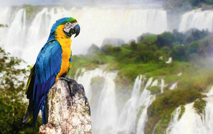 Iguazú-Wasserfälle an der Grenze zwischen Basilien und Argentinien
