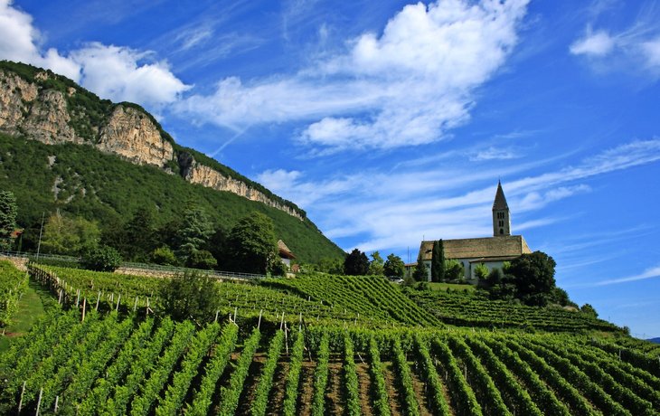 Südtiroler Weinstrasse